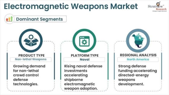Electromagnetic Weapons Market segments